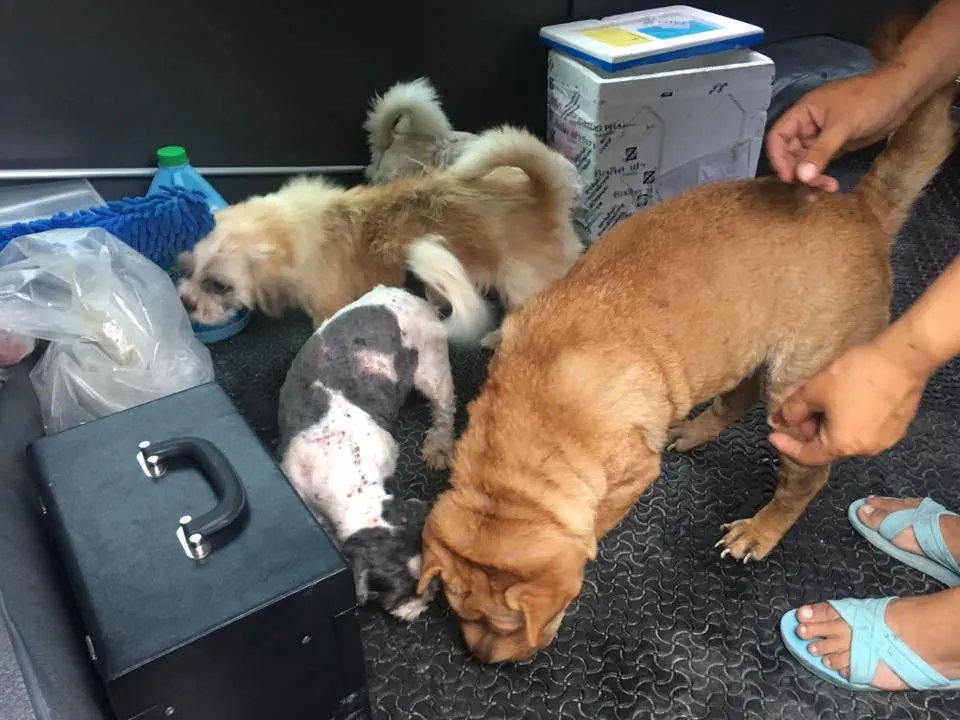 ไม่มีข้อความกำกับภาพอัตโนมัติ