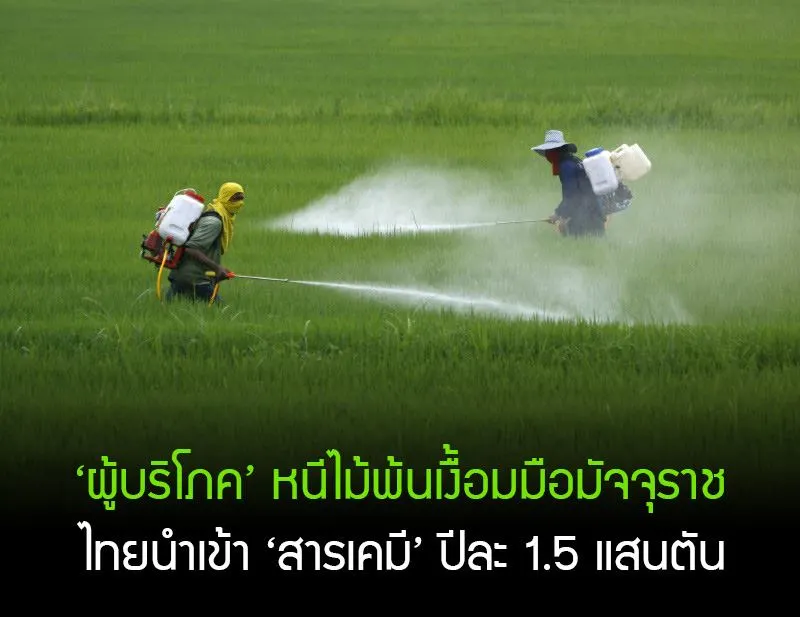 14955895_1255316927874975_5794994949980493461_n