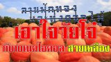 เอาใจหนุ่มๆกับ 10 เน็ตไอดอล LGBT