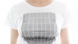 เสื้อลายมีนม หลอกตาจากจอแบน เป็นอวบอึ๋มได้...