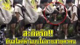 หรรมอันเท่านี้!! สะกิดรัก ที่พักใจ สาววัยรุ่นยืนเขี่ยของสุดรักของชายหนุ่มบนรถไฟแบบไม่อายสายตาผู้คน(มีคลิป)