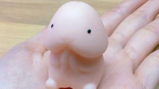 สีของปลายหัวน้องชายสุดที่รัก ก็บอกได้ว่าสุขภาพเป็นยังไง