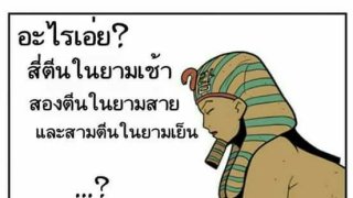 รวมมิตรรูปขำขัน มุขฮาๆ คลายเครียด