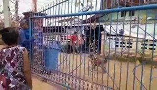 ลูกมือขวานทรพีโหด ทุบตีแม่ อย่าให้มีที่ยืนในสังคม