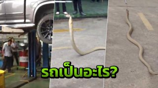 หนุ่มเอารถไปซ่อม เจอของดีอยู่ในรถ ใกล้วันหวยออก เตรียมซื้อหวย เลขทะเบียนรถ!!