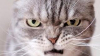 แน่ใจนะ ว่าปี 1 ถ้าปีสูงกว่านี้ จะสั้นขนาดไหนหนอ