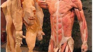 ภาพน่าขนลุกของร่างกายมนุษย์ ที่หลายคนอาจไม่เคยเห็นมาก่อน (แม้จะสยอง แต่สาระล้วนๆ) ตอนที่ 2