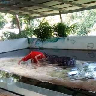 ช็อกทั้งเวที !!! นาทีจระเข้งับหัวครูฝึก