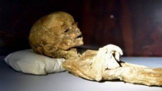 นักวิจัยเผย พบศพมนุษย์ต่างดาวของจริง เป็นครั้งแรกของโลก