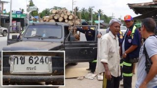 ด่วน!! งูเห่าเลื้อยเข้ารถหนุ่มใหญ่เมืองคอน เห็นทะเบียนจะๆ