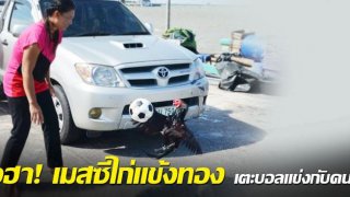 ฮือฮา! เมสซีไก่แข้งทอง เตะบอลแข่งกับคน