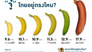 ขนาดอวัยวะเพศชาย สำคัญอย่างไร