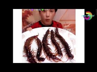 เรื่องใจเด็ด ต้องยกให้พี่จีนเขา