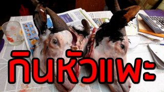 สาวจีนฉีกหัวแพะกินลิ้นอย่างโหด !!