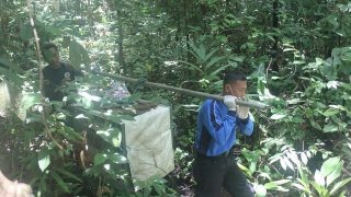 เมื่อไหร่จะเลิกทำร้ายสัตว์ป่า !!