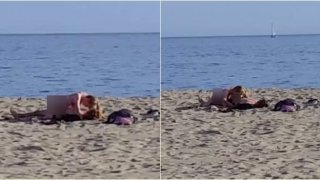 โรงแรมไม่ต้อง !!! "คู่รัก" ขย่มริมหาด ทะเลสะเทือน เสียงครางดังสนั่น กลางวันแสกๆ