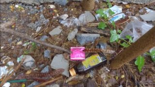 ป่าเสื้อใน สถานที่ยอดฮิต แหล่งมั่วเซ็กส์ชาวสีม่วง-เสพยา แห่งใหม่เมืองชลบุรี