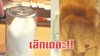 พิษภัยของควันบุหรี่ ทดลองเพียงไม่ถึง 10 มวน สำลีเปลี่ยนจากสีขาวเป็นสีน้ำตาลไหม้