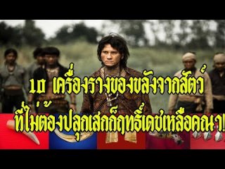 10 เครื่องรางของขลังจากสัตว์ ที่ไม่ต้องปลุกเสกก็ฤทธิ์เดชเหลือคณา!