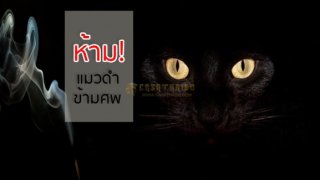 โบราณว่า &ldquo;ห้ามแมวดำข้ามศพ มิฉะนั้นจะเกิดอาถรรพ์แก่วิญญาณผู้ตายให้กลายเป็นผีดุร้าย&rdquo;