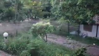 หนุ่มรีวิวที่ฉีดตูดบ้านน้องที่ปากช่อง แรงขนาดนี้"มีหักใน" ลำไส้มีอักเสบ..