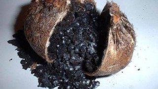 สุดสะพรึง!! วิธี &ldquo;คุมกำเนิด&rdquo; สมัยโบราณ เมื่อจักรพรรดิไม่อยากให้ &ldquo;นางสนม&rdquo; ตั้งท้อง!