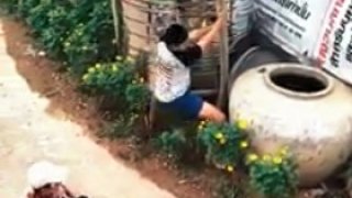 เทรนใหม่? วัยรุ่นกระเด้งสะโพกหน้าหลัง ชาวเน็ตลั่นสงสารถนนกับต้นมะละกอ