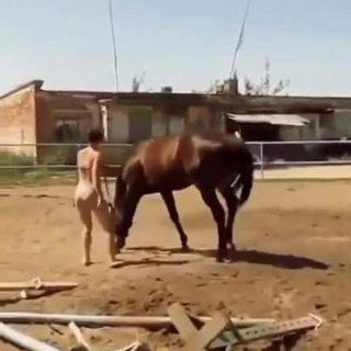 #ความเมตตาของม้าตัวนี้ช่างน่าทึ่ง?!!