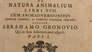 ความเข้าใจเรื่องสัตว์ในสมัยโรมัน