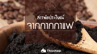 สารพัดประโยชน์จากกากกาแฟ ที่คุณยังไม่รู้ !