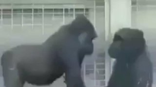 โอ้ย อดขำไม่ได้! 555555 18+