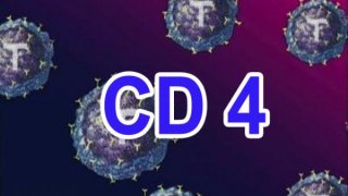 CD4 คืออะไร?