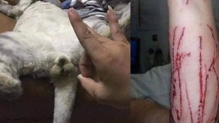 อมยิ้มกับภาพขำๆ