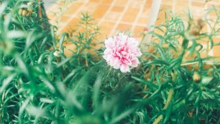 เพื่อนกันเยกันผิดมั้ย