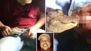 คนมันดวงซวย หนุ่มเล่นพิเรนทร์ล่อให้ลูกจระเข้กัด สุดท้ายพลาดโดนงับอัณฑะเข้าเต็มๆ