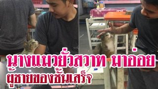นางแมวยั่วสวาท มาอ่อยผู้ชายของชั้นเสร็จ มีการหันมายิ้มเยาะ