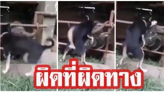 คิดว่าตรงนั้นมันไม่น่าจะใช่คุณตูบ