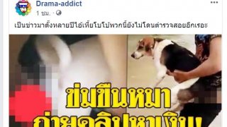 จวกยับ!! หนุ่มวิตถาร จับหมาข่มขืน ถ่ายคลิป เก็บค่าสมาชิกเข้ากลุ่ม!