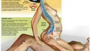 วันนี้คุณมีเซ็กส์แล้วหรือยัง??