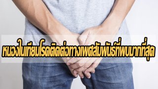 หนองในเทียมโรคติดต่อทางเพศสัมพันธ์ที่พบมากที่สุด