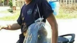 ภาพฮา พาเพลิน ขำๆอารมณ์ดี