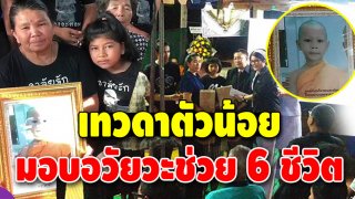 กุศลแรงกล้า เด็กชาย 7 ขวบ บริจาคดวงตา 2 ข้าง ตับ และไต ช่วยคน 6 ชีวิต ก่อนตัวเองสิ้นใจ