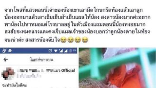 สลดใจอีก!! ผ่าท้องแมวควักลูกก่อนใช้เข็มเย็บ เจ้าของโต้ผ่าตอนแม่แมวตายแล้วเพื่อช่วยลูก