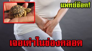 หมองงเลย เจอเต่าตายอยู่ในจิ๊มิ๊สาว ตำรวจเตรียมสอบสวนถึงสาเหตุ