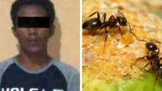 หื่นกามฉุดสาว 16 ข่มขืนกลางกรุง เดชะบุญได้แอนท์แมนมาช่วยชีวิต!