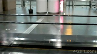 มาแล้วจร้า!..ดูๆกันไป ฮาบ้าบอ3..