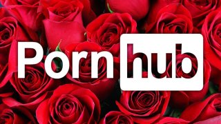 เอาใจ#คนเหงา2019 Pornhub ปล่อยฟรีพรีเมียมรับวันวาเลนไทน์!