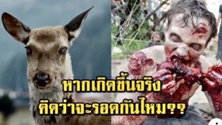 ทั่วโลกผวา สหรัฐฯ พบกวางติดเชื้อซอมบี้ ระบาดแล้ว 26 รัฐ หวั่นแพร่เชื้อสู่มนุษย์