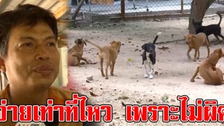 เจ้าของหมา รุมขย้ำเด็ก โต้ไม่ผิด ฉะแม่ไม่ดูลูกให้ดี จ่ายได้เท่าที่ไหว (คลิป)