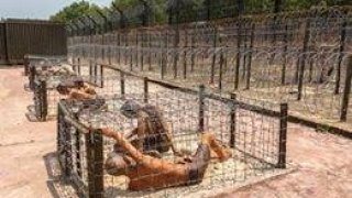 Phu Quoc Prison ฟูก๊วก คุกนรกแห่งญวนใต้